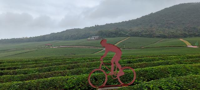 智绘家门口的诗和远方！全国20余家媒体共探“锡式精彩”