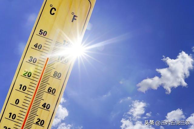 19号出伏，今年出伏不一般，农村老人总结:4大特点，4个要注意