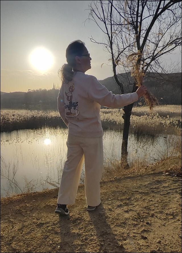 宣化瓦窑头水库芦苇成片，水天一色值得观看