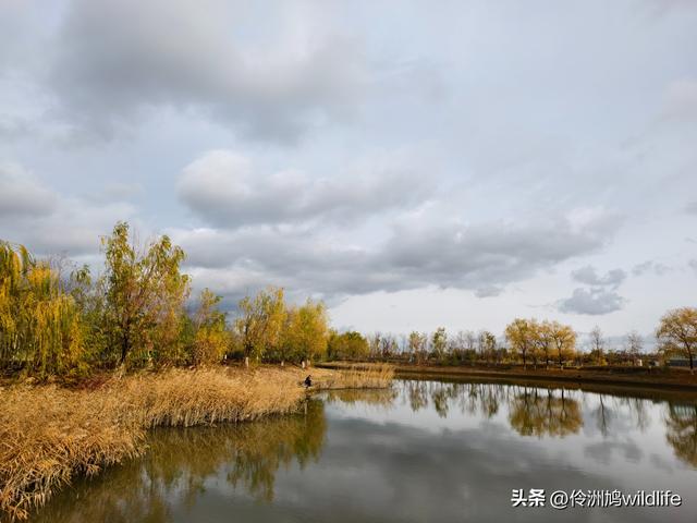 新疆昌吉头屯河公园