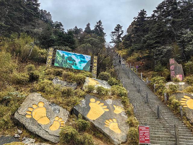 2024深秋四川行19 神农架风景区2 华中屋脊的五彩秘境