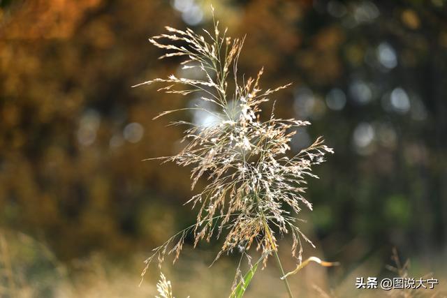 深秋时节，临汾有个富有诗意的好地方！