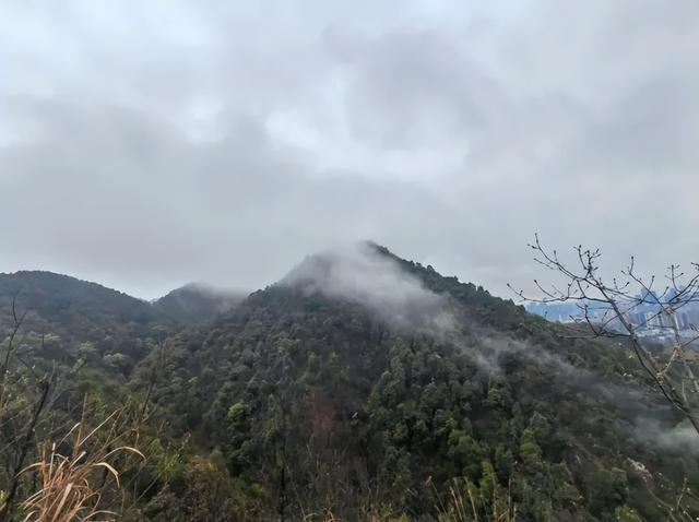 重庆夜景天花板｜这5个高空机位，带你解锁山城3D魔幻夜景