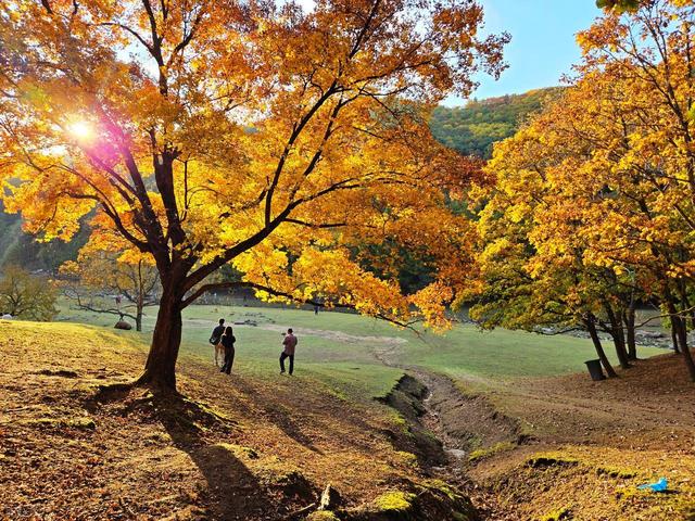 从湖南去了一趟伊春，实话实说，回来才发现朋友圈都是骗人的？