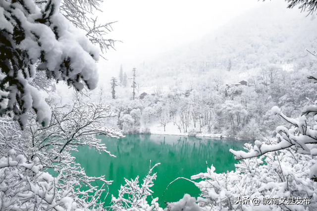 重磅福利！陇东南八大景区联票上线，一票省钱游