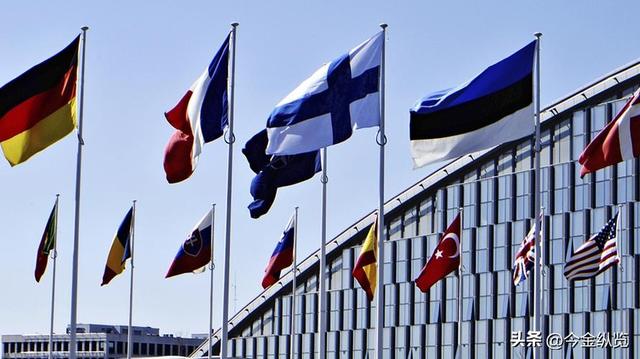 普京当众怒斥北约掌门"不识字"！特朗普底气加持，美欧裂痕撕开！