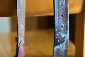 家里四处“长毛”！如何除霉？家政人士来支招→图片