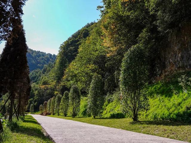 广元不远 周末优选 | 4条旅游路线，带你全方位打卡曾家山