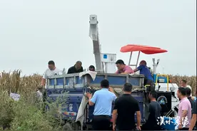 国内首台！这个一体化的收获机在我市下田作业……图片