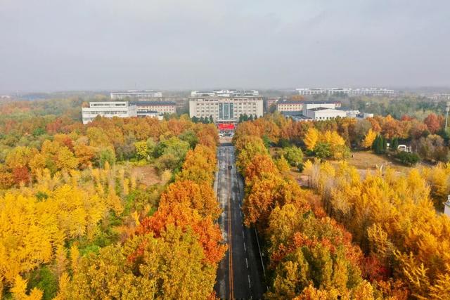 河北经贸大学2025金秋银杏节11月8日盛大开幕