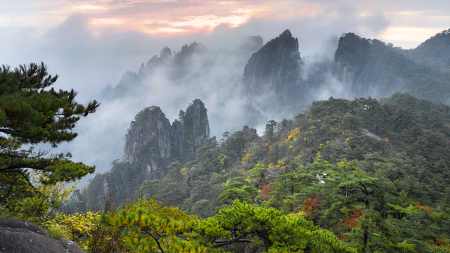 紧急播报：黄山秋色已达峰值，100%颜值在线，速来！| 皖美冬日 | 第十五届安徽国际文化旅游节
