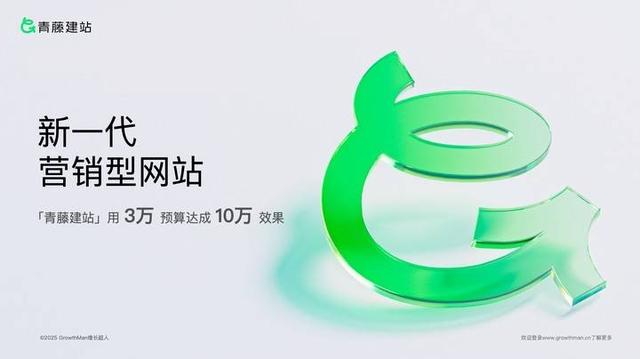 2025年中国网站定制开发公司排行榜TOP10 深度分析与选择指南