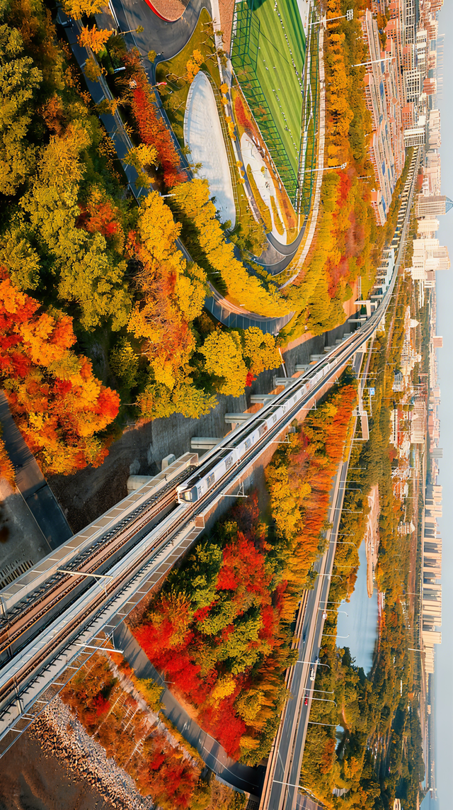 生态城的秋天，已经美得不像样了