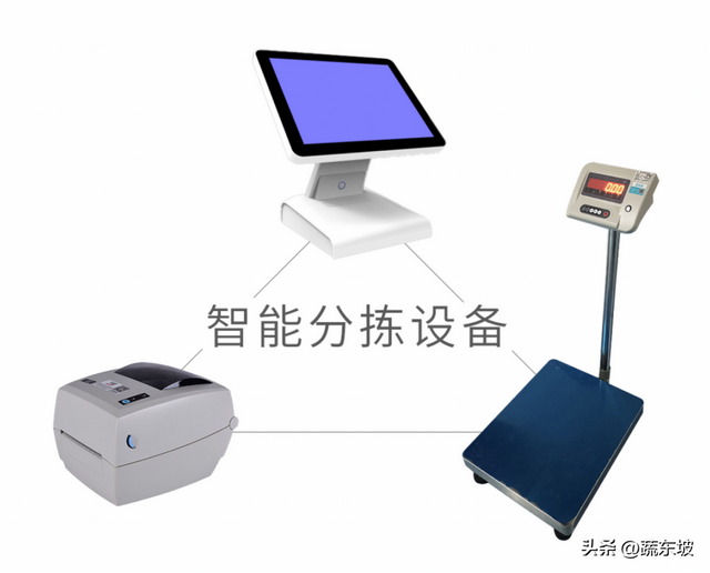 智能分拣重塑生鲜配送，蔬东坡“硬科技+软实力”实现效率倍增！