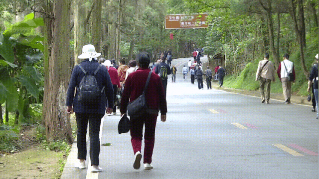 这才是重阳节该有的样子！爬西山、买花、吃重阳糕…昆明人的过节“三件套”齐了~