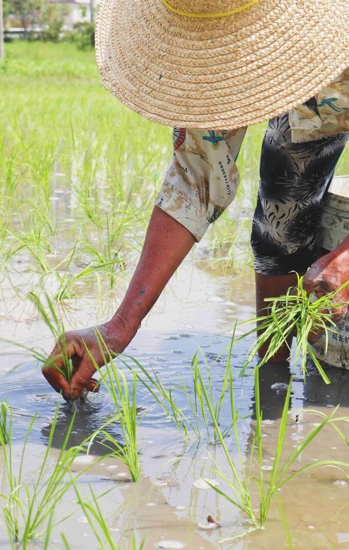 央媒通报！又一间谍行为曝光，作案手法阴险，粮食安全受威胁