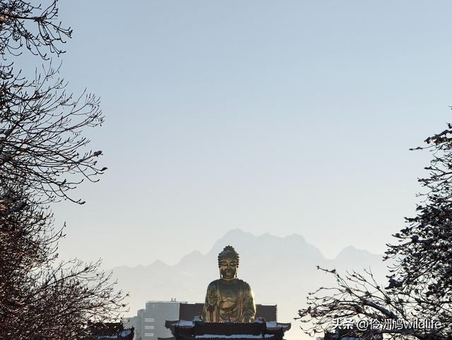新疆乌鲁木齐红光山大佛寺