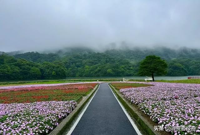 速来广东避暑！六大主题胜地，堪比“空调房”