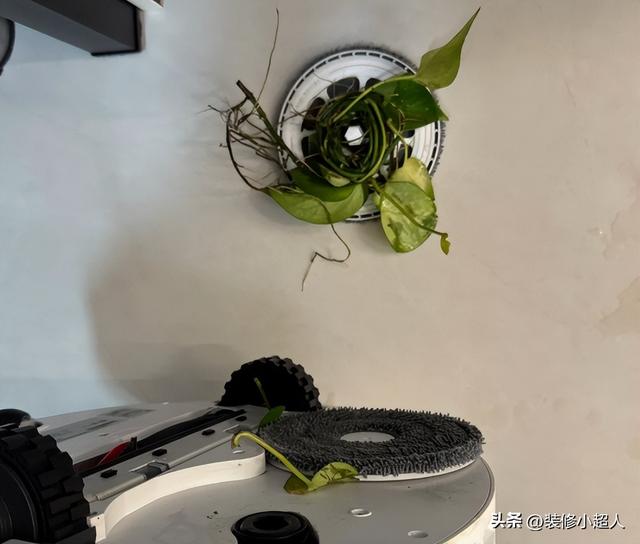 建议各位：这6种家电要么买好的，要么不要买，便宜的很难用！