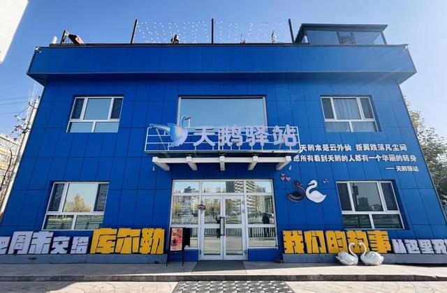 重走丝路看新疆 | 连续二十年赴约 野生天鹅认准“山水梨城”