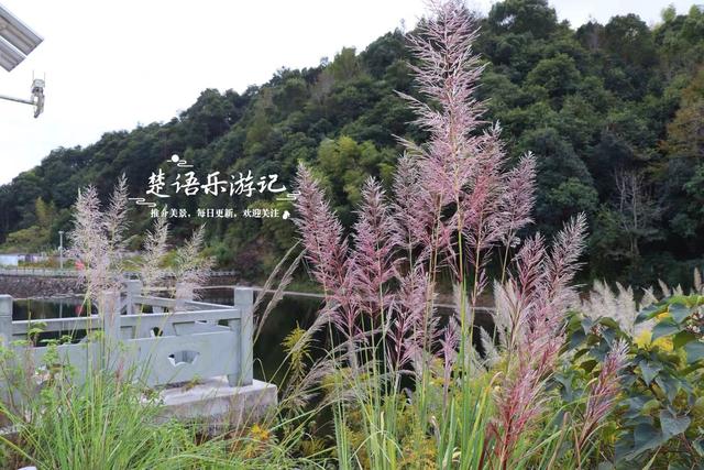 宁波宁海的10公里长溪，不仅是绝美玩水胜地，秋季的风景也很秀丽