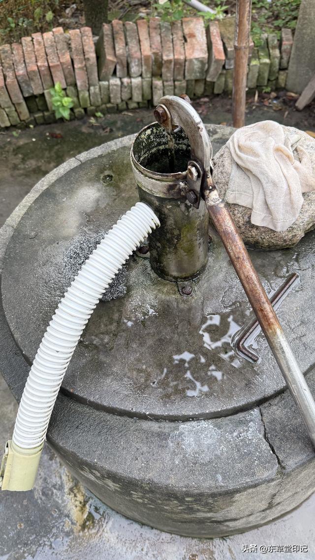 探秘浦东绿都绣云里：海派风情与现代商业的梦幻交织