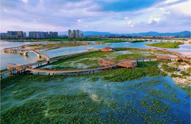 厦门下潭尾湿地公园，被称厦门版的马尔代夫，海上森林，颜值爆表