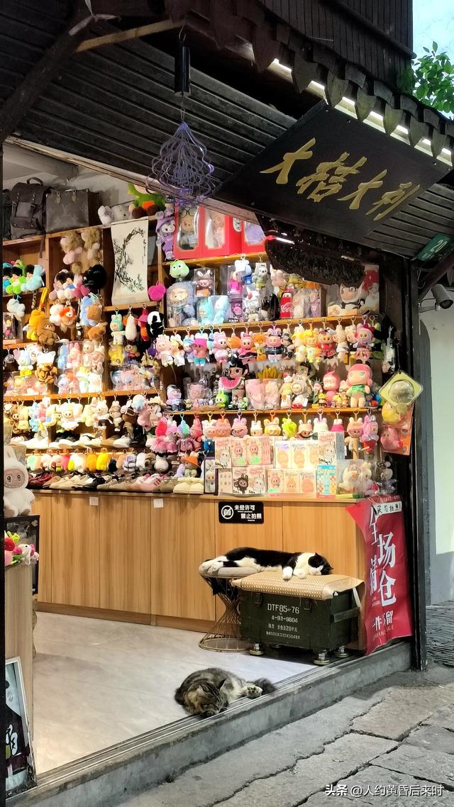在上海的第九日（10.10）