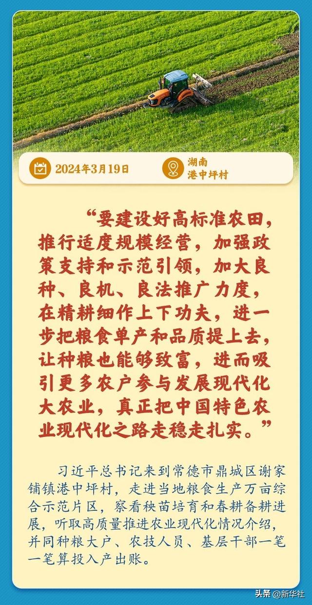 学习新语｜总书记引领推动乡村振兴迈出坚实步伐