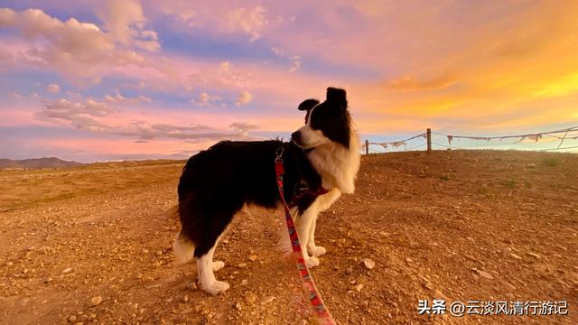 玛琅峡谷，札达土林最佳观赏点之一，有绝佳的日出日落和星空银河