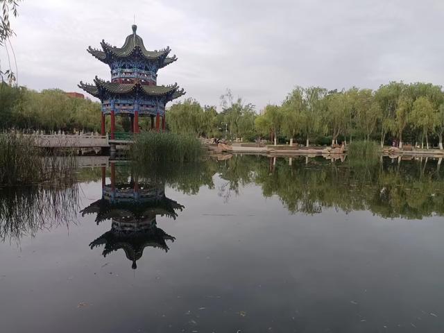 又踏甘肃地之三十五 金昌篇之五 紫金花海（1）