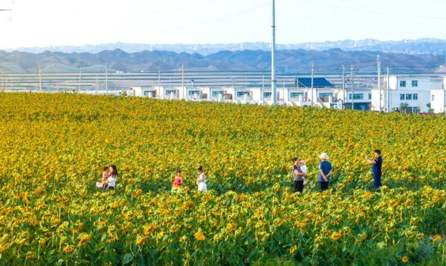 十三载绘新卷 兰州新区的“美丽城市”实践