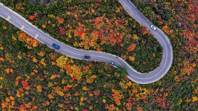 美到窒息！太行一号旅游公路铺开秋日油画长卷