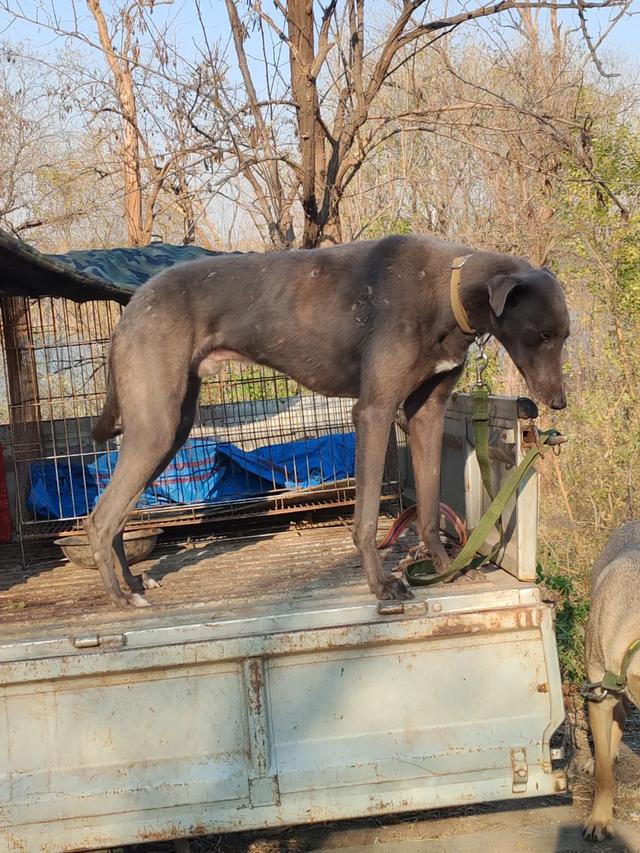 记录德州:岔河河堤上的大集,人山人海,异常热闹