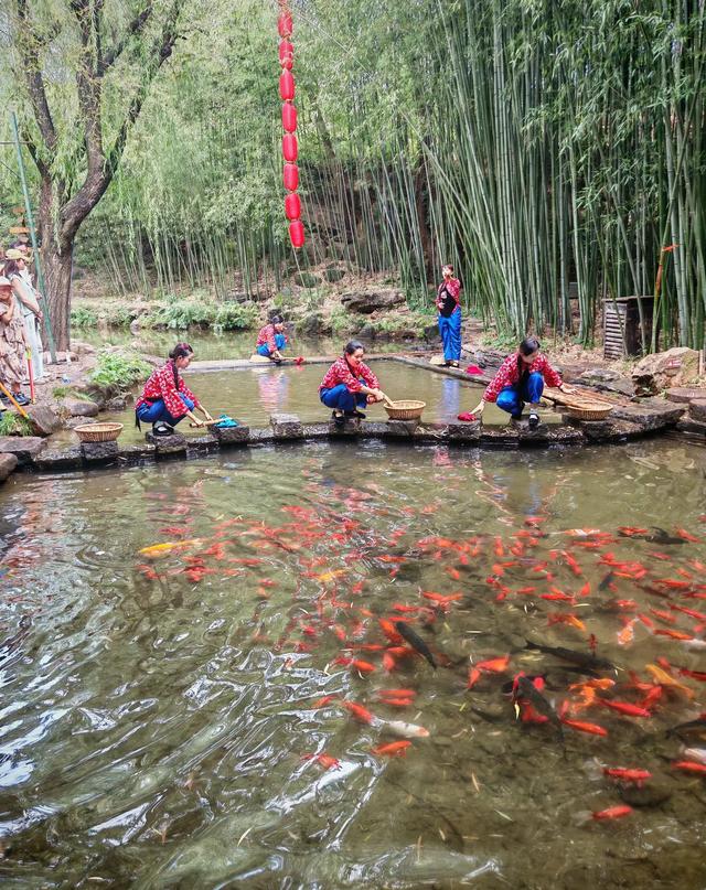 我是上海人,周末杀到临沂,结果被这个“北方小上海”惊到了!