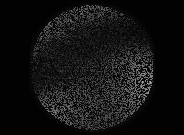 量子计算迎来历史性突破：加州理工学院实现6100量子比特阵列