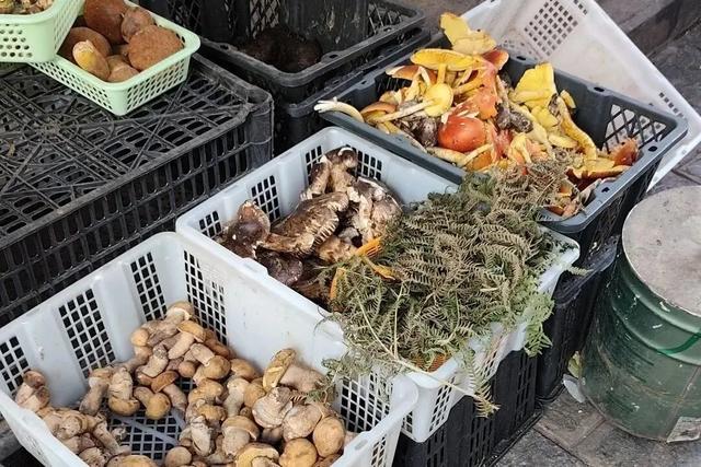 这个大集火爆出圈!