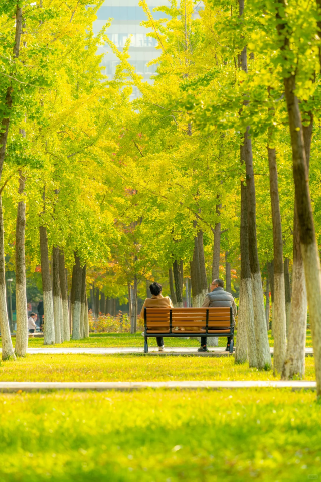 此刻的临沂，把清欢藏进风景里