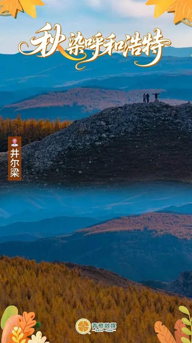 再过几天，呼和浩特就要变成这样了→