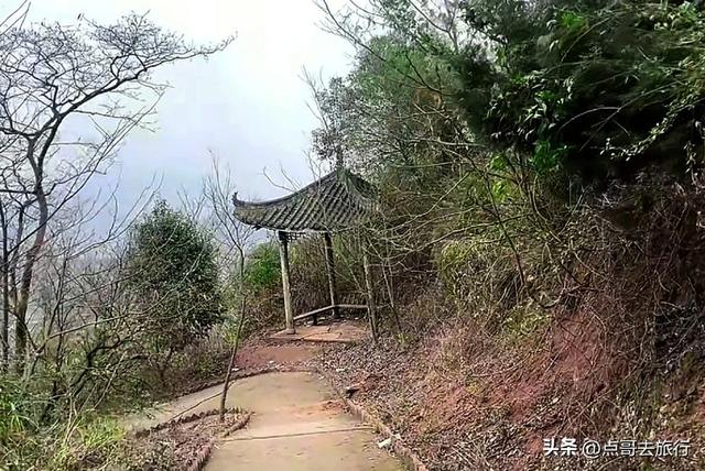 成都龙泉森林徒步路线，被严重低估，不要门票，拍照超级出片！
