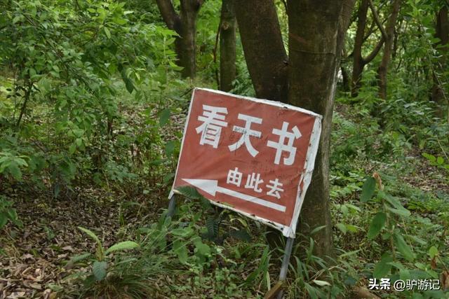 红崖天书，黄果树旁边的免费小众景点，千百年来身世成谜！