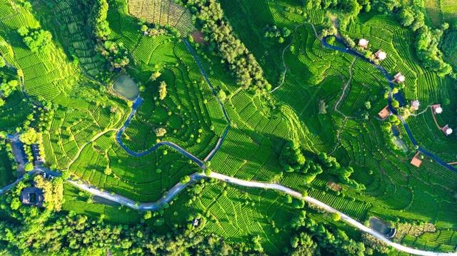 39项！宁强“双节”文旅活动出炉→