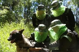 盘点全球四大蚊区，每立方米都有上万蚊子，堪称“人间炼狱”!图片