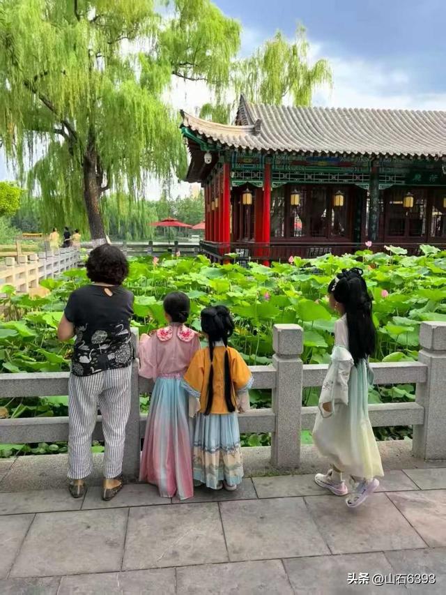 《雨荷厅畔荷香美女乐》～新华社原军事记者陶俊峰泉城大明湖美拍