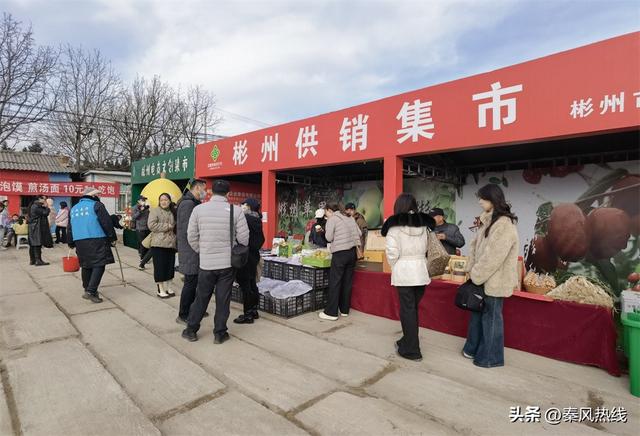 彬州市：多举措提升罗店村柿林观赏地游客满意度