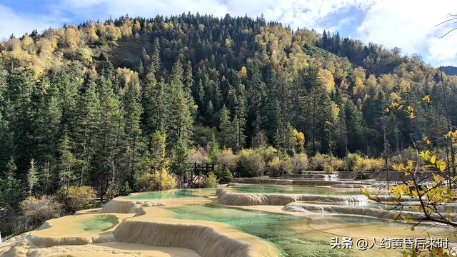 今年的彩林，选择了神仙池（嫩恩桑措）