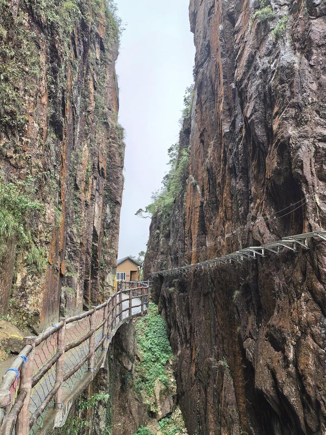 湘粤赣之旅（三）：莽山记