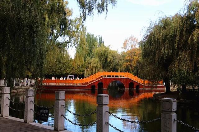 【寻秋・回民区】一园秋色入画来 邂逅公园的醉美时光