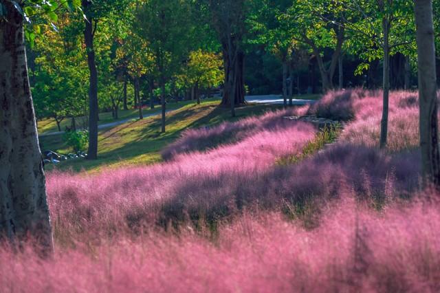 洛阳的秋天在这里封神！3条禅意路线，最后一条让摄影师舍不得走