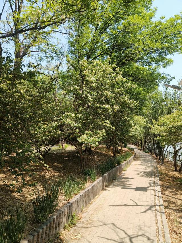 天津《复兴河公园》